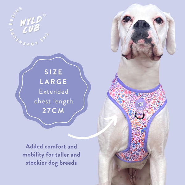 Adjustable Dog Harness: Notting Hill Lilac