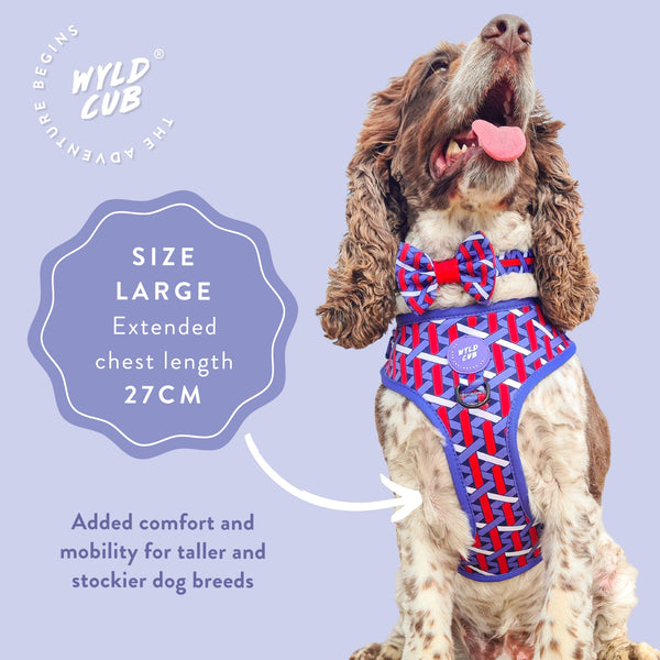 Adjustable Dog Harness: Knightsbridge Violet