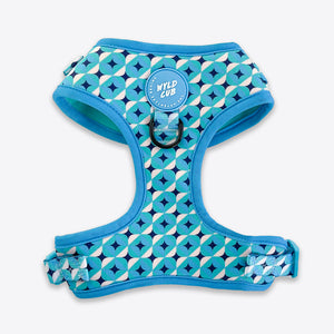 Adjustable Dog Harness: Knightsbridge Azure