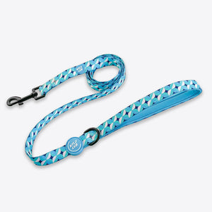 Dog Lead: Knightsbridge Azure