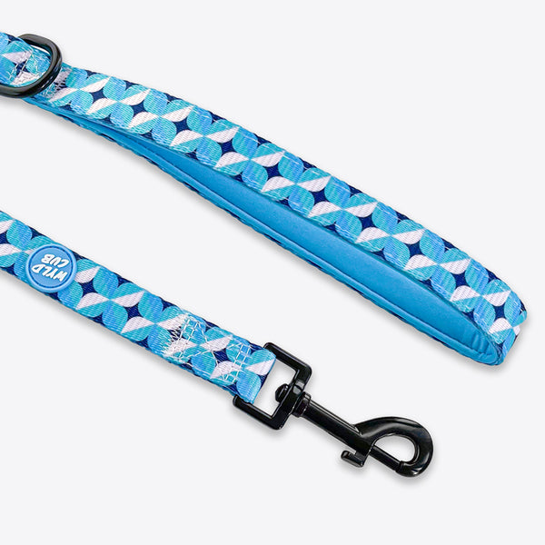 Dog Lead: Knightsbridge Azure