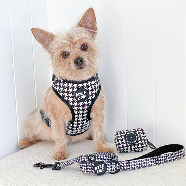 Wyld Cub black white monochrome luxury high end stylish fashionable matching luxury comfortable adjustable quality harness collar lead poo bag walk accessories set for top dog puppy breeds french bulldog frenchie bulldog cavapoo cockerpoo spaniel king Charles spaniel shihpoo labrador terrier chihuahua