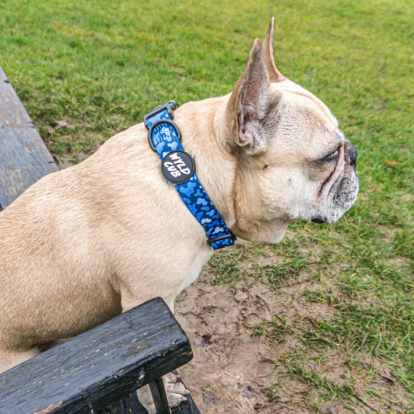 Wyld Cub blue camo stylish comfortable quality adjustable harness collar lead poo bag walk accessories set for top dog puppy breeds french bulldog frenchie bulldog cavapoo cockerpoo spaniel king Charles spaniel shihpoo labrador terrier chihuahua