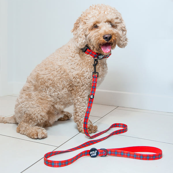 Wyld Cub red blue check tartan stylish comfortable luxury quality reversible harness collar lead poo bag walk accessories set for top dog puppy breeds french bulldog frenchie bulldog cavapoo cockerpoo spaniel king Charles spaniel shihpoo labrador terrier chihuahua