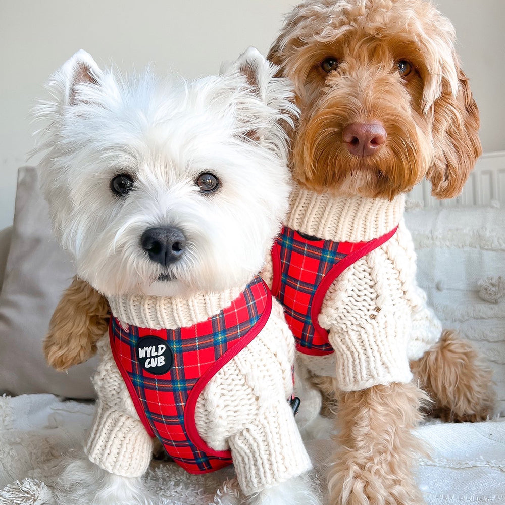 Plaid Westie Dog Clothes Warm Dog DRESS COAT With Bow On Chest