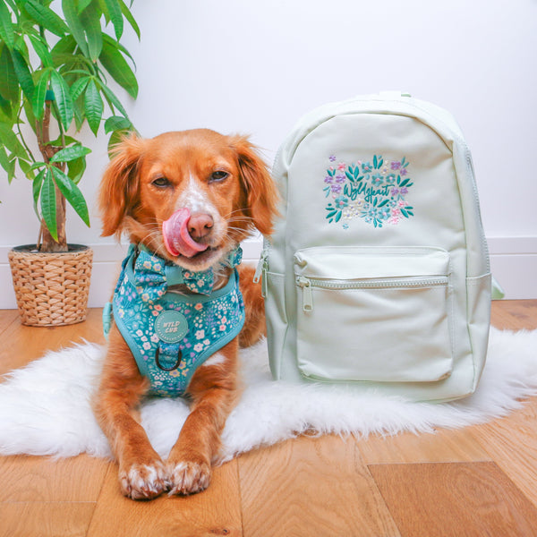 Wyld Heart Embroidered Mini Backpack: Mint