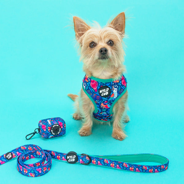 Wyld Cub blue floral colourful fun pink green blue birds stylish comfortable quality adjustable harness collar lead poo bag walk accessories set for top dog puppy breeds french bulldog frenchie bulldog cavapoo cockerpoo spaniel king Charles spaniel shihpoo labrador terrier chihuahua