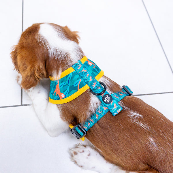 Wyld Cub green orange yellow colourful banana monkey botanical fun cool stylish comfortable quality reversible harness collar lead poo bag walk accessories set for top dog puppy breeds french bulldog frenchie bulldog cavapoo cockerpoo spaniel king Charles spaniel shihpoo labrador terrier chihuahua