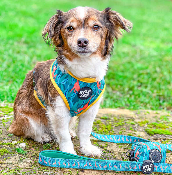 Wyld Cub green orange yellow colourful banana monkey botanical fun cool stylish comfortable quality reversible harness collar lead poo bag walk accessories set for top dog puppy breeds french bulldog frenchie bulldog cavapoo cockerpoo spaniel king Charles spaniel shihpoo labrador terrier chihuahua