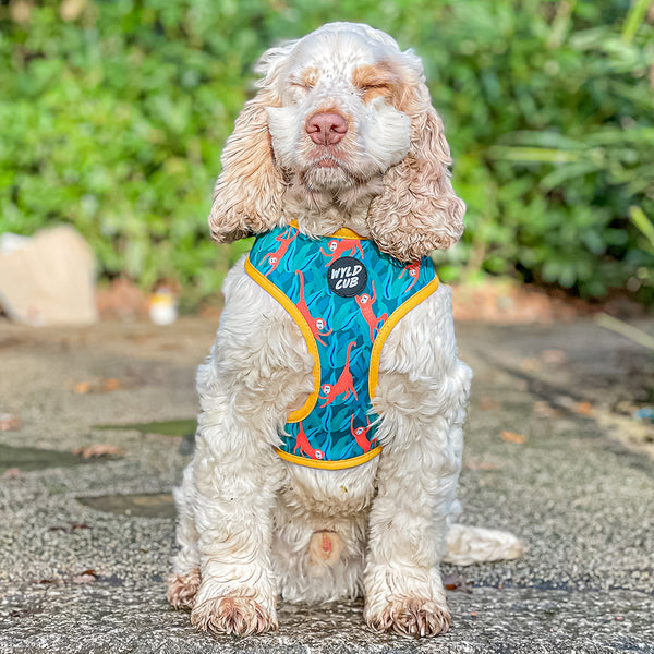 Wyld Cub green orange yellow colourful banana monkey botanical fun cool stylish comfortable quality reversible harness collar lead poo bag walk accessories set for top dog puppy breeds french bulldog frenchie bulldog cavapoo cockerpoo spaniel king Charles spaniel shihpoo labrador terrier chihuahua