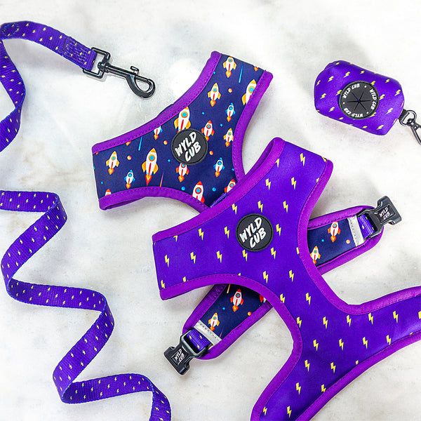 Wyld Cub purple blue lightening bolts rocket fun cool stylish quality reversible harness collar lead poo bag walk accessories set for top dog puppy breeds french bulldog frenchie bulldog cavapoo cockerpoo spaniel king Charles spaniel shihpoo labrador terrier chihuahua