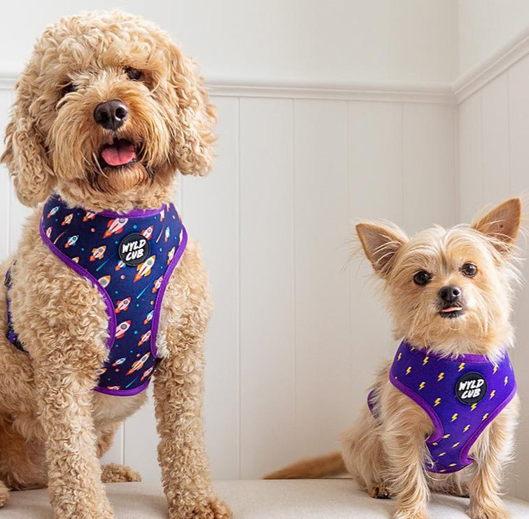 Reversible Dog Harness: Pocket Rocket - The Zoomies Dog Harness – WYLD ...