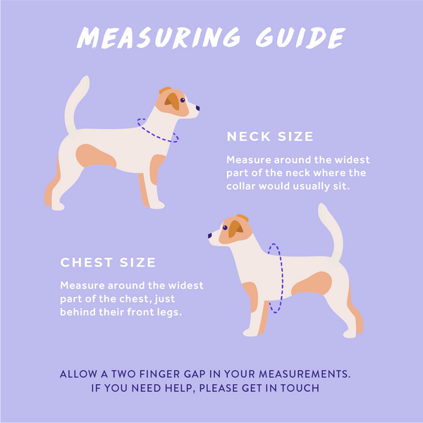 How to measure your dog or puppy Wyld Cub dog harness walk wear size guide breed sizes for for top dog puppy breeds french bulldog frenchie bulldog cavapoo cockerpoo spaniel king Charles spaniel shihpoo labrador terrier chihuahua
