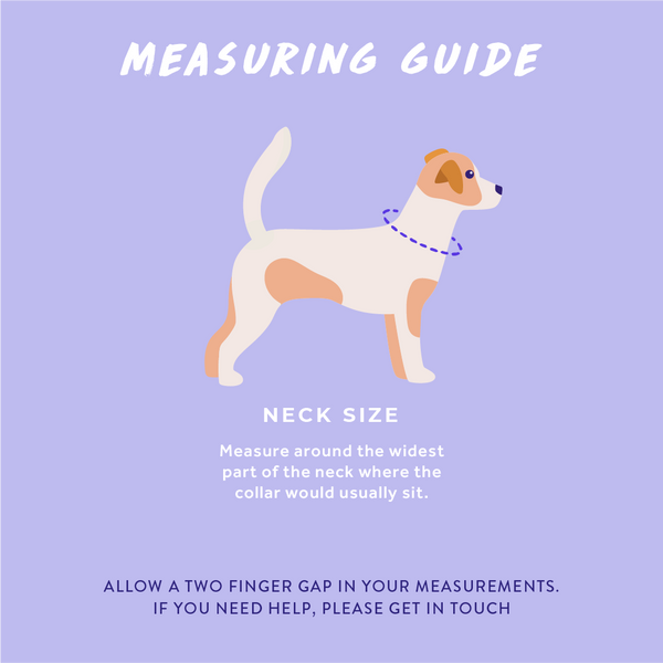 How to measure your dog or puppy Wyld Cub dog harness walk wear size guide breed sizes for for top dog puppy breeds french bulldog frenchie bulldog cavapoo cockerpoo spaniel king Charles spaniel shihpoo labrador terrier chihuahua